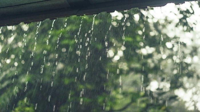 Prakiraan Cuaca DKI Jakarta Rabu, 5 Oktober 2022: Jakarta Selatan Hujan pada Siang hingga Malam Hari